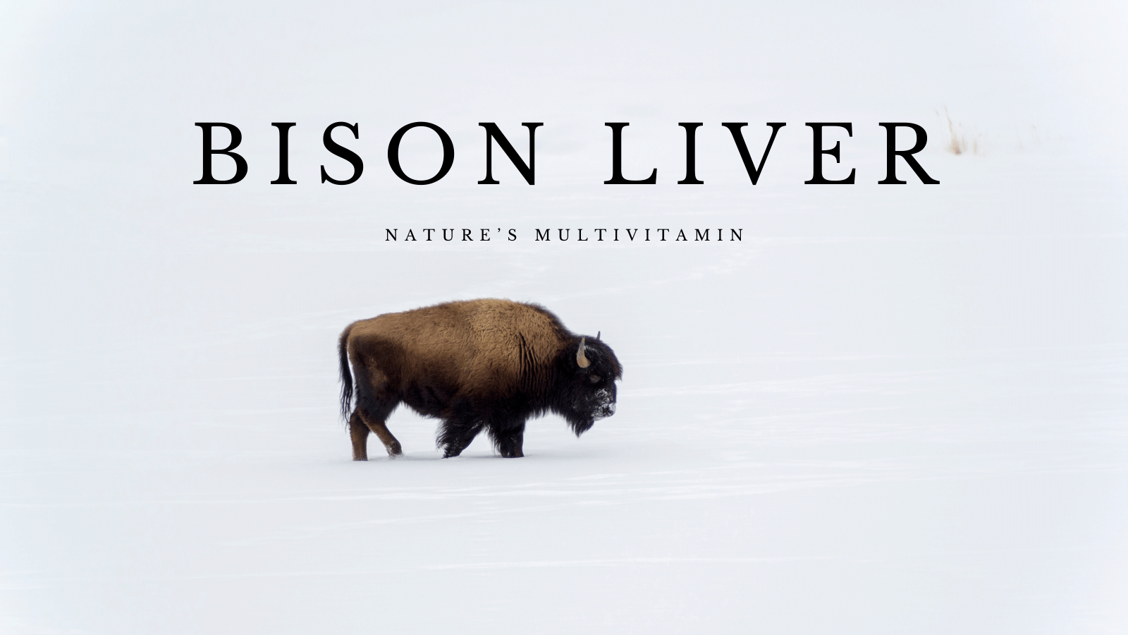 Beef Liver vs Bison Liver - Who is King?