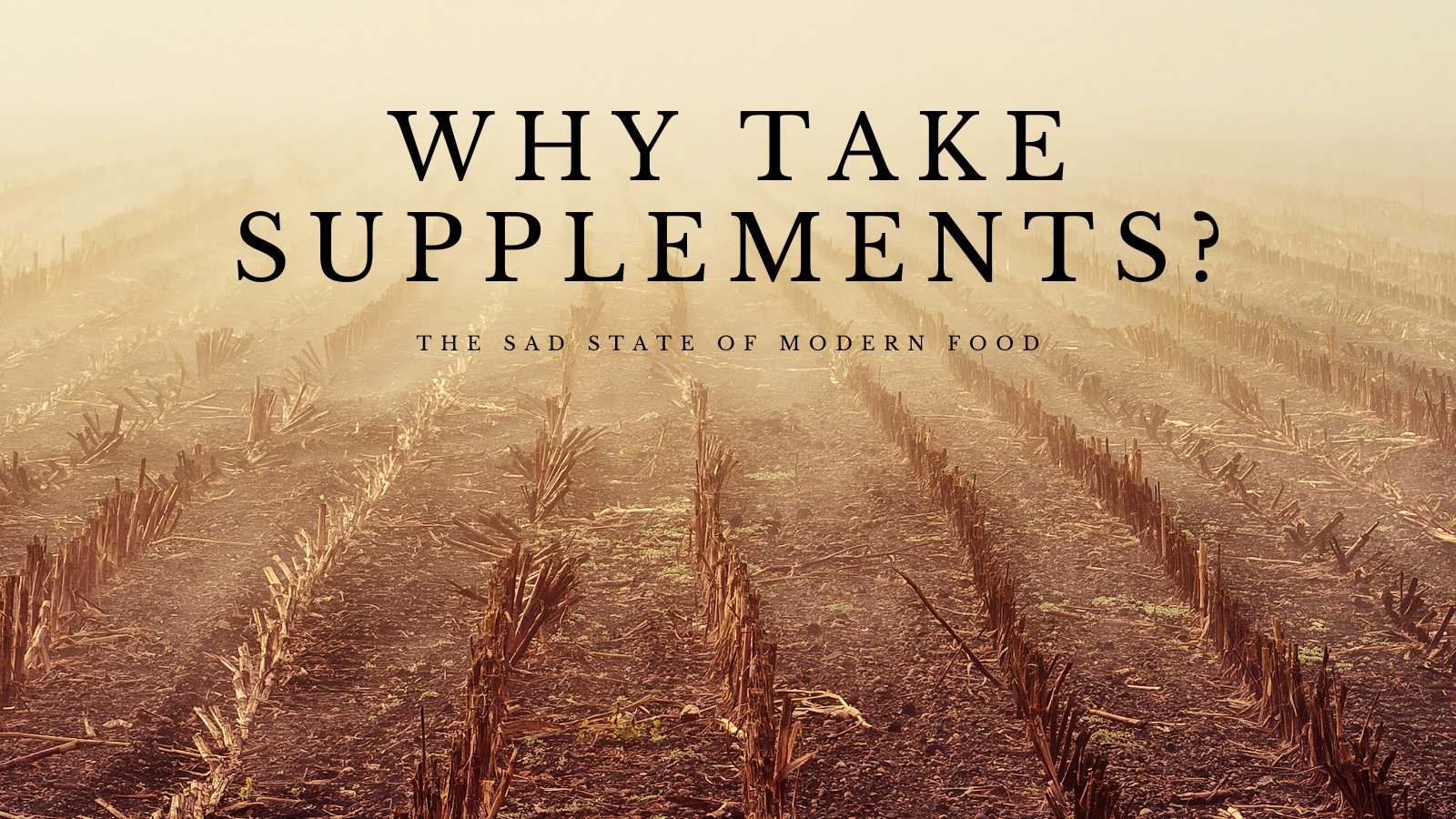 why you need to take supplements