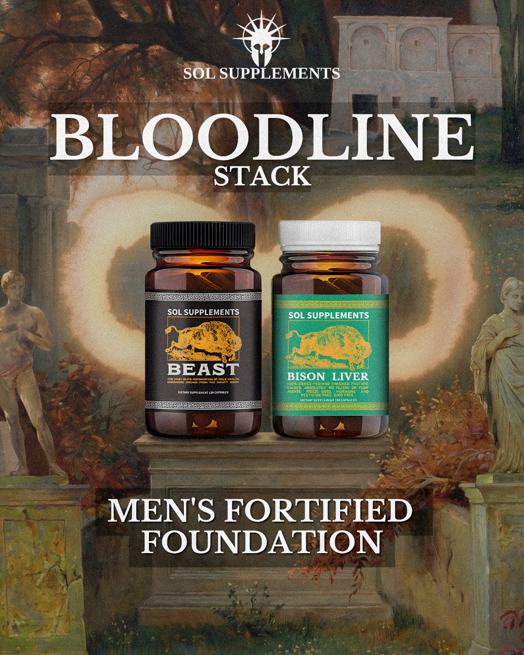 BLOODLINE - Men's Health & Vitality Organ Complex