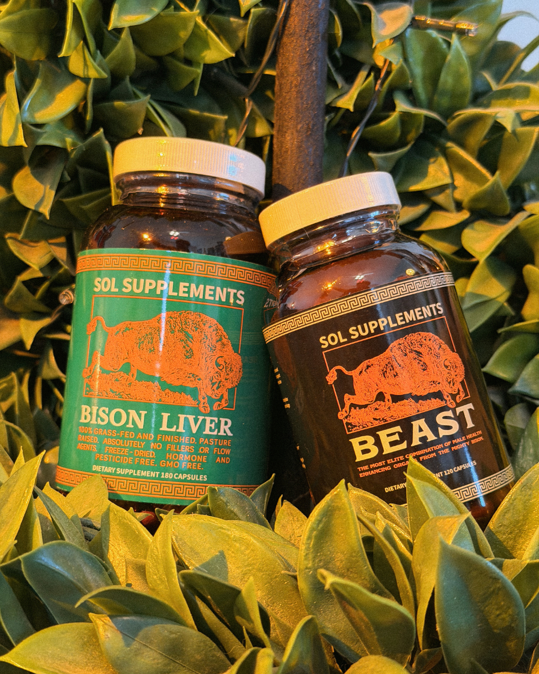 BLOODLINE - Men's Health & Vitality Organ Complex