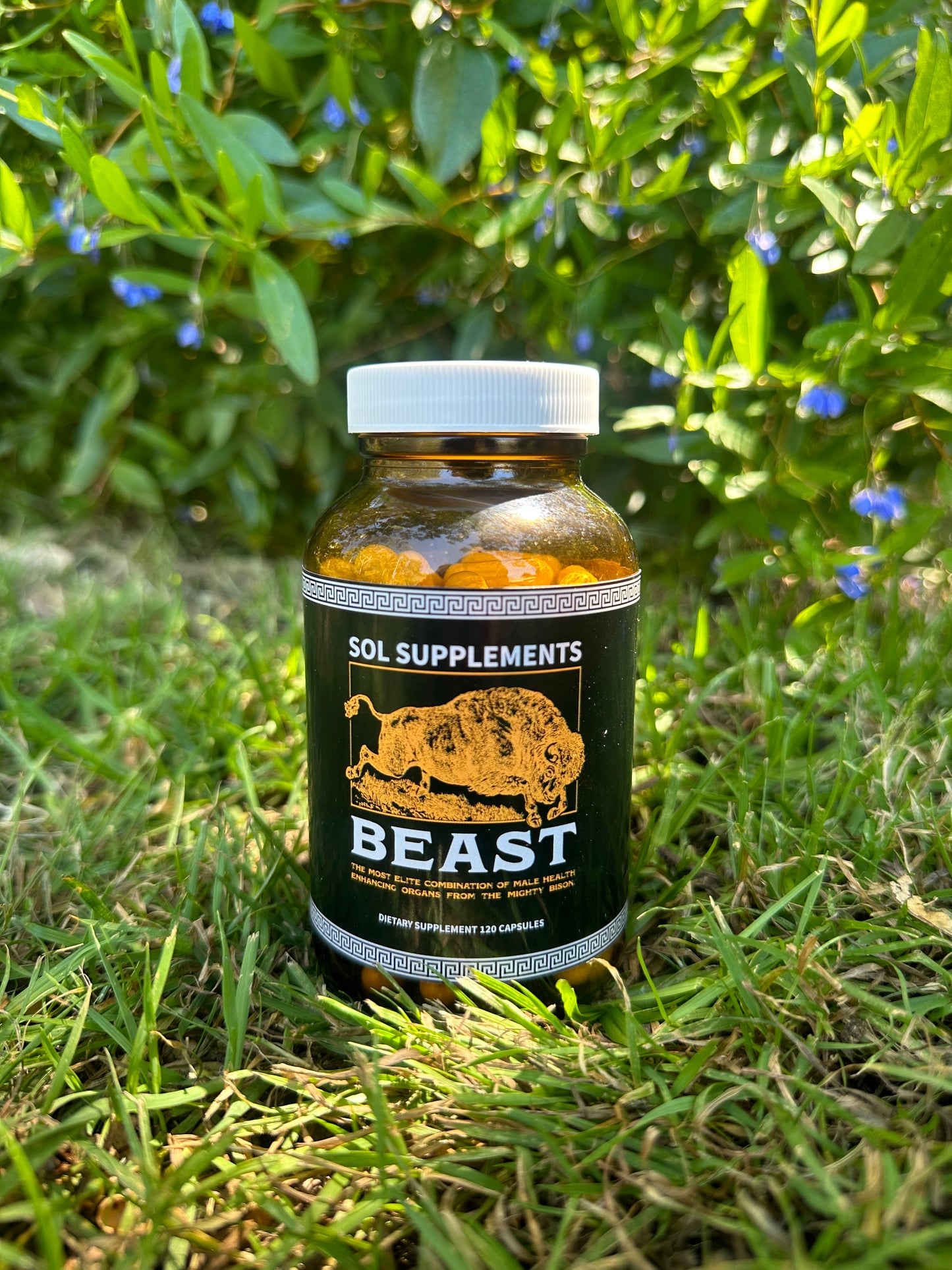 Sol Supplements BEAST: Freeze-Dried Male  Bison Organ Complex