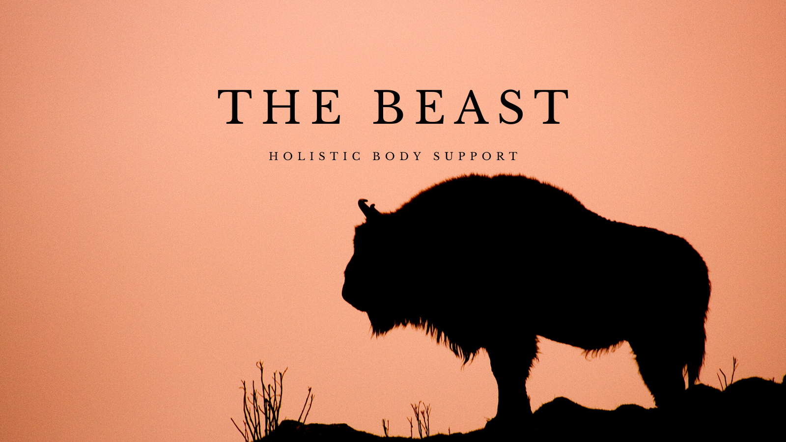 The Beast: Bison Organ Supplement