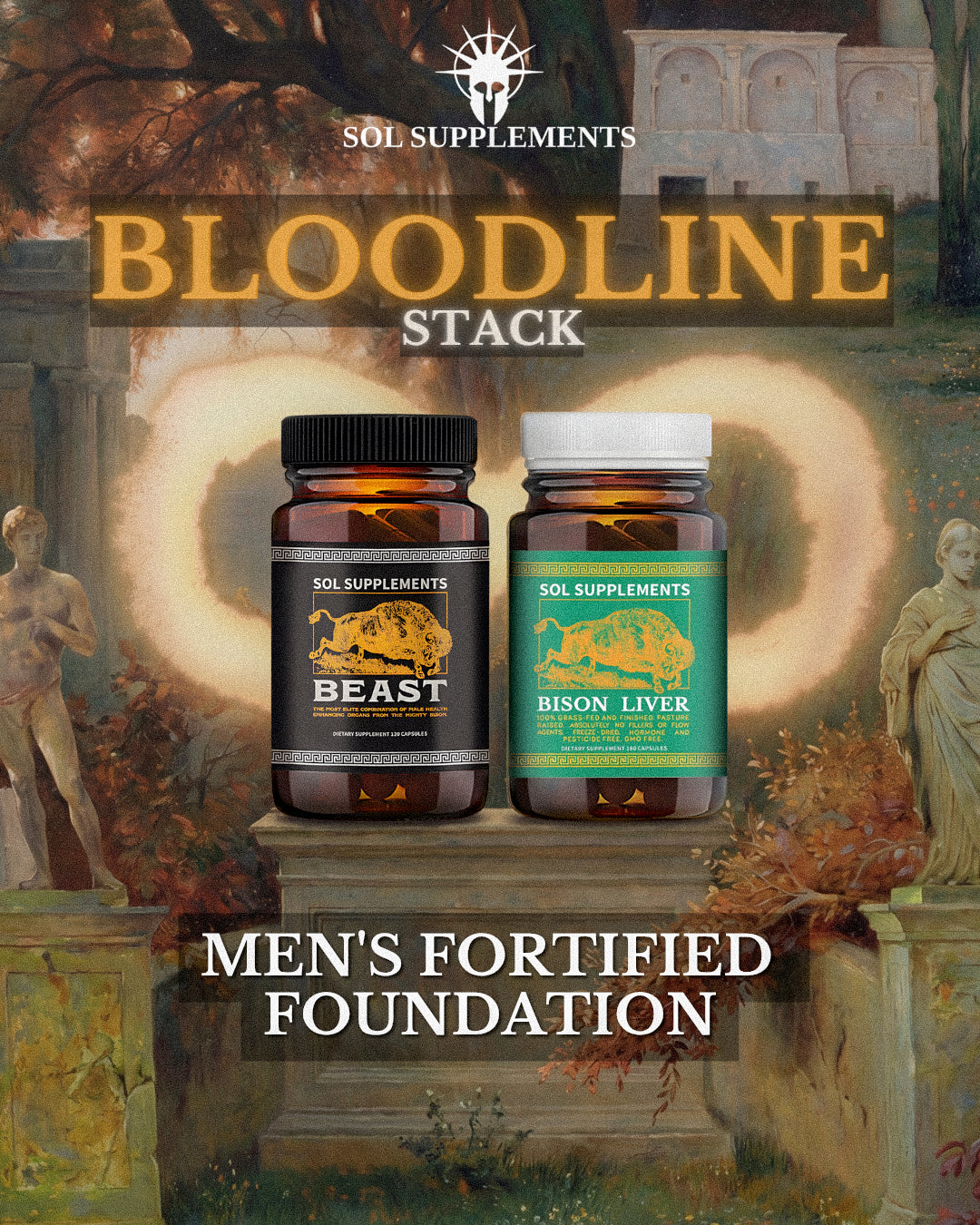 BLOODLINE - Men's Health & Vitality Organ Complex