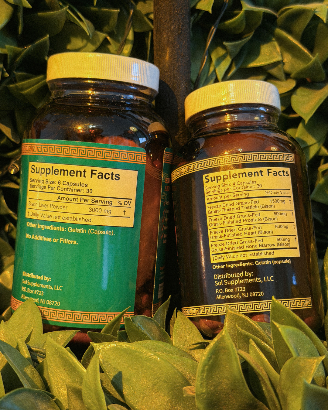 BLOODLINE - Men's Health & Vitality Organ Complex