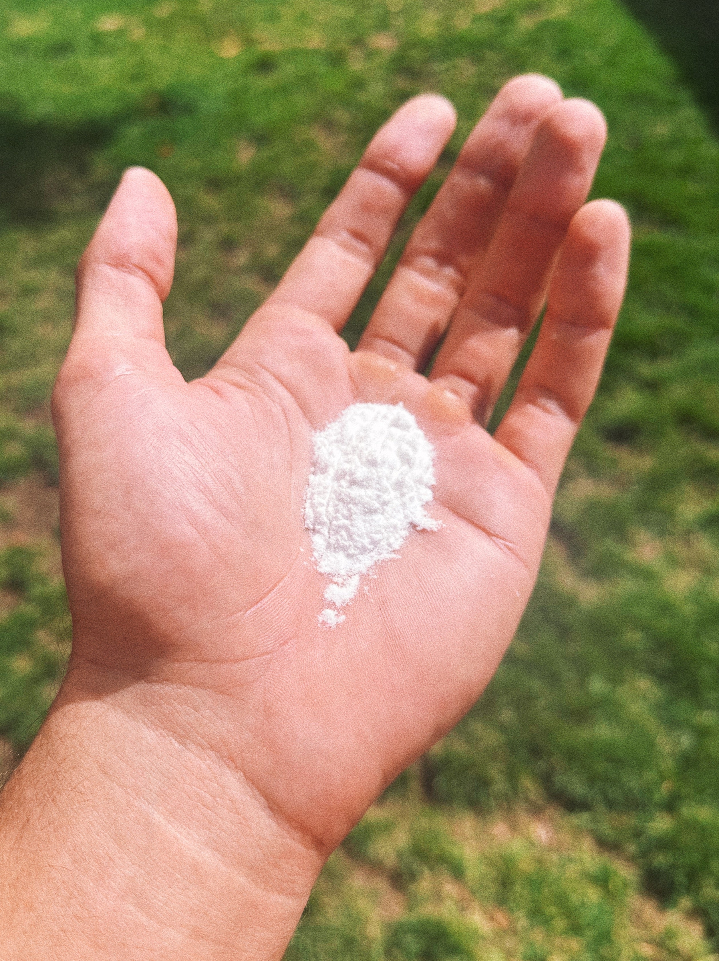 a handful of sol supplements glycine powder in front of grass