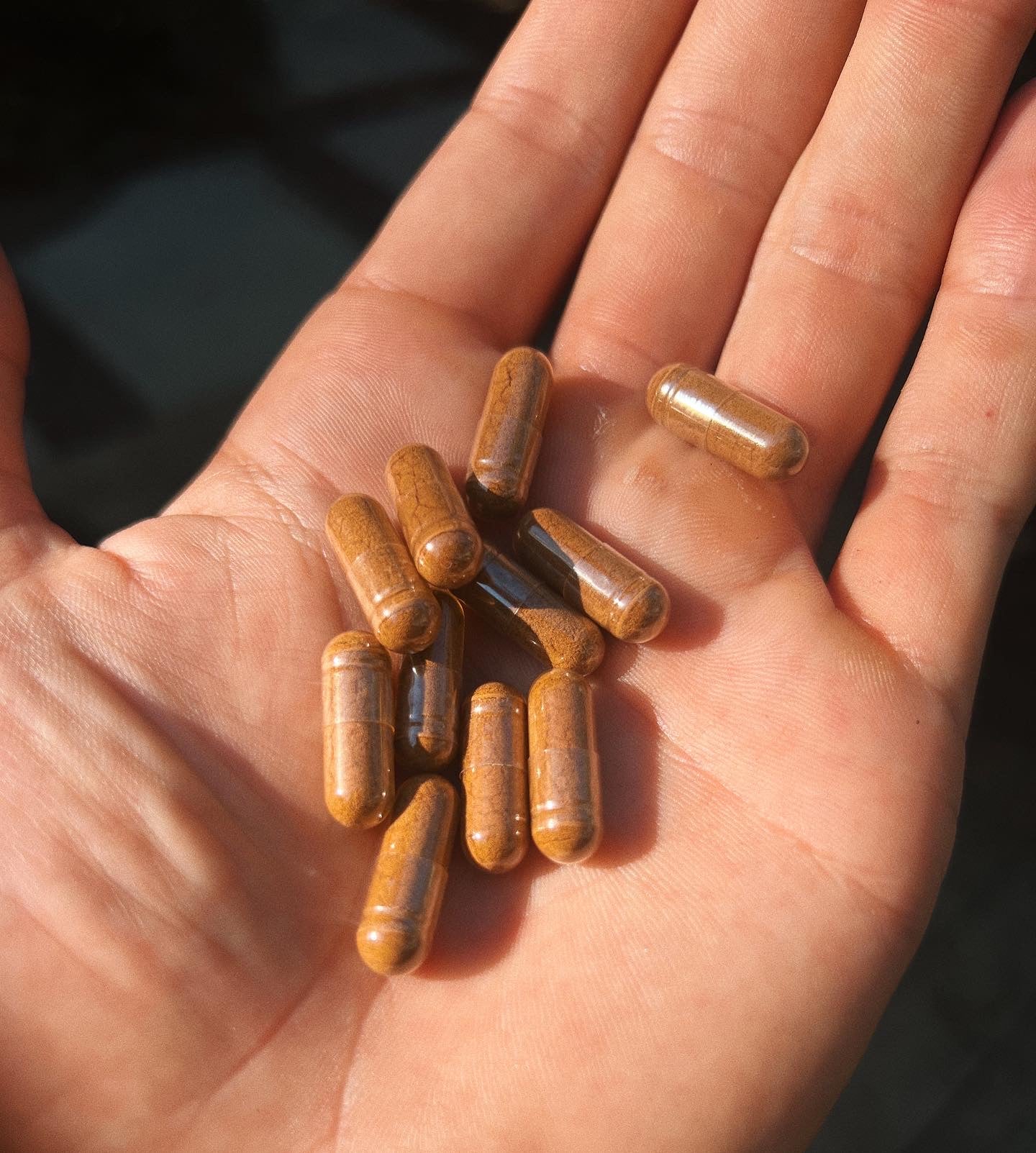 multiple desiccated bison liver capsules sitting in a hand